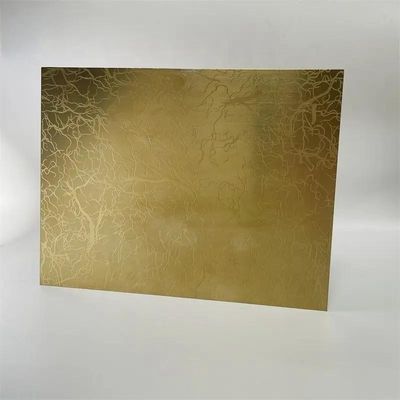 Customized Etched Patterned Stainless Steel Sheet PVD Colored SS Decorative Metal Plate